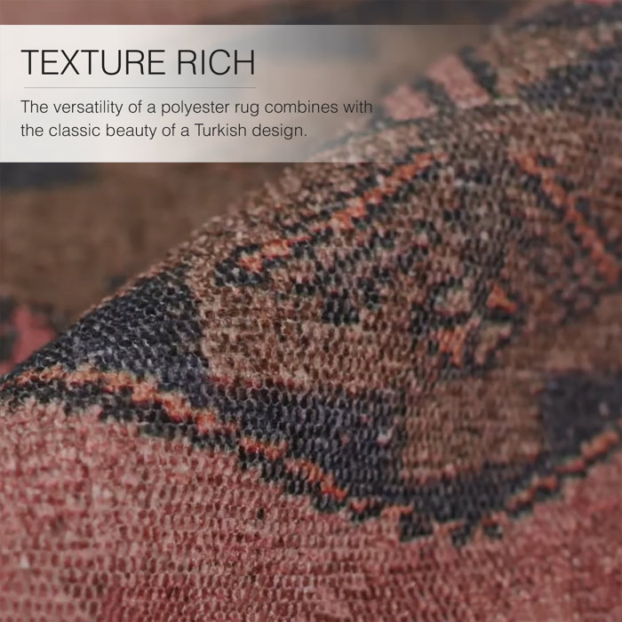 Kelly Clarkson Home Ayla Machine Washable Pink Rug & Reviews Wayfair